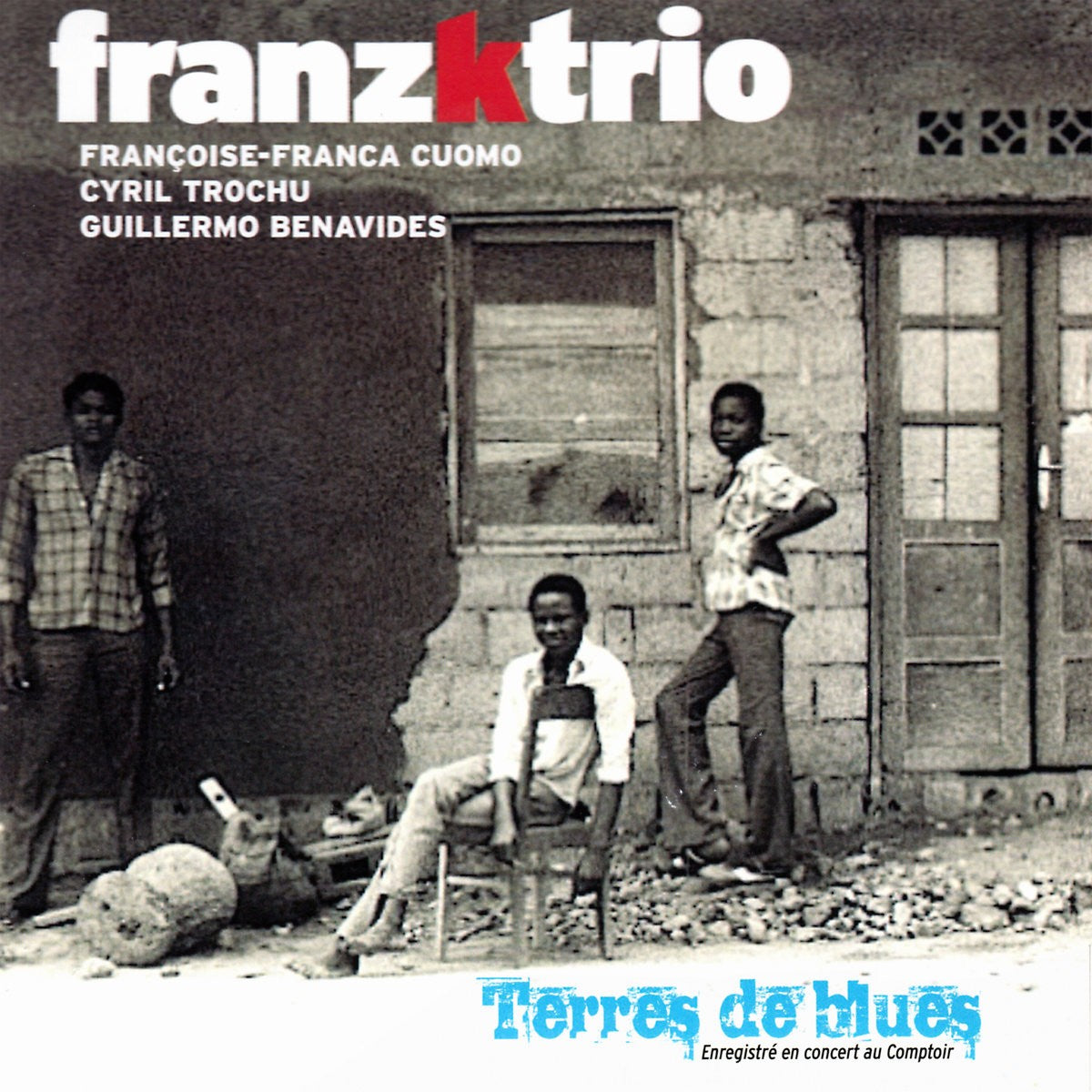 Pochette de : TERRES DE BLUES - FRANZKTRIO (CD)