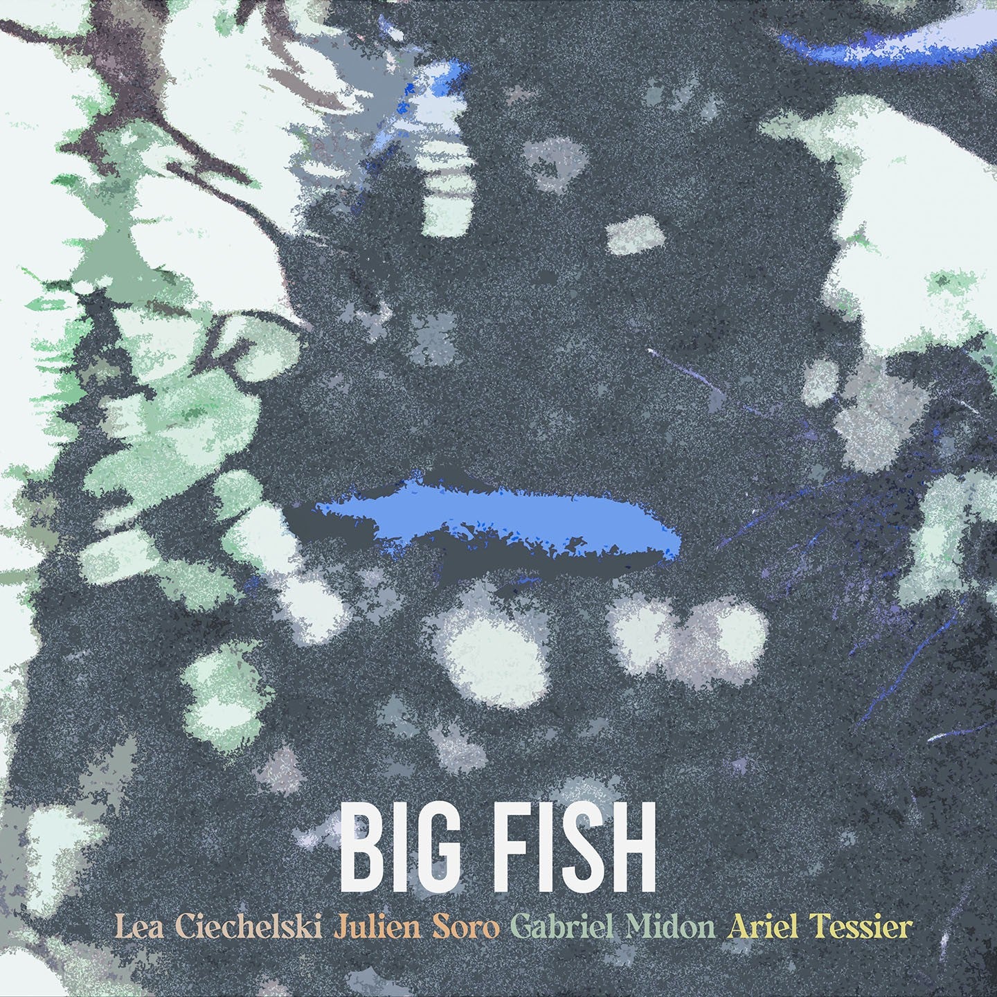 Pochette de : BIG FISH - BIG FISH (CD)