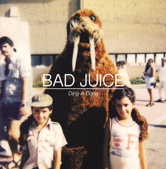 Pochette de : DING-A-DONG - BAD JUICE (33T)