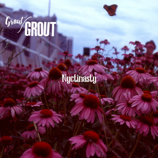 Pochette de : NYCTINASTY - GROUT/GROUT (33T)