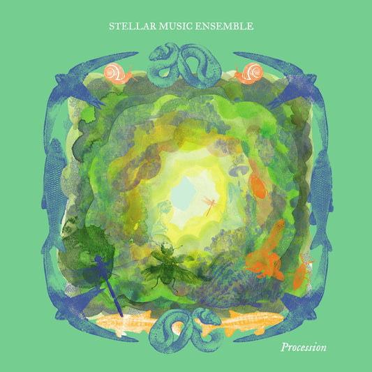 Pochette de : PROCESSION - STELLAR MUSIC ENSEMBLE (CD)