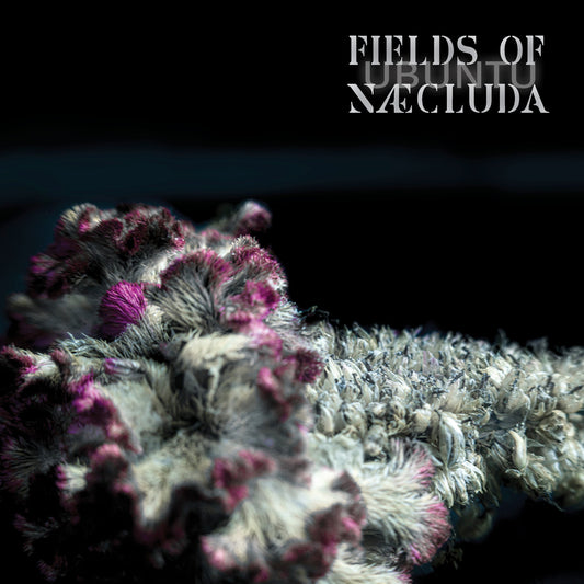 Pochette de : UBUNTU - FIELDS OF NÆCLUDA (CD)