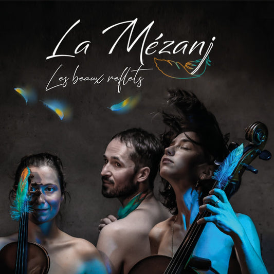 Pochette de : LES BEAUX REFLETS - MEZANJ (CD)
