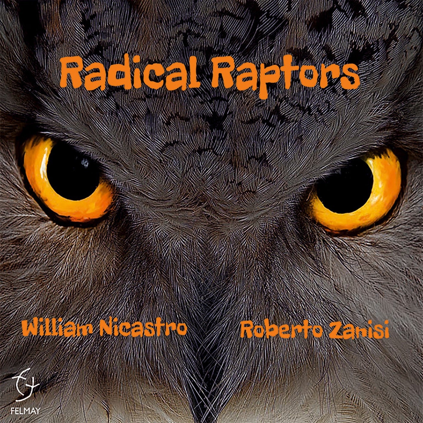 Pochette de :  RADICAL RAPTORS  - RADICAL RAPTORS  (CD)