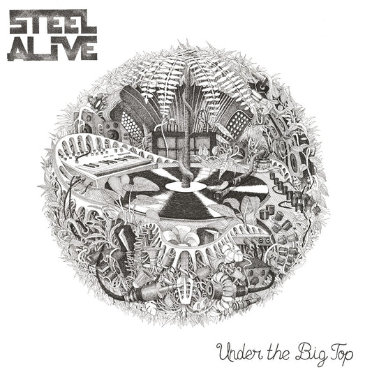 Pochette de : UNDER THE BIG TOP - STEEL ALIVE (CD)