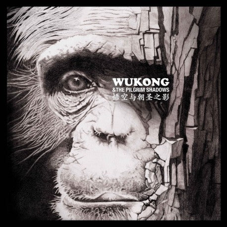 Pochette de : WUKONG AND THE PILGRIM SHADOWS - WUKONG (DOUBLE VINYLE 33T)